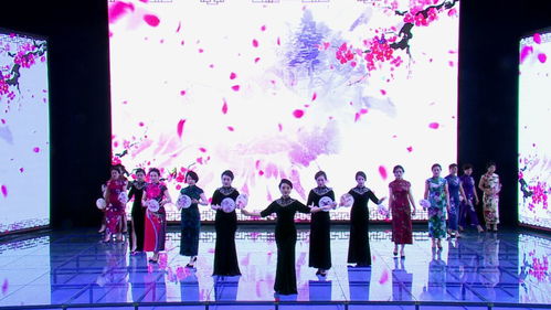 奇臺縣便民便企服務中心舉辦窗口服務禮儀展示活動，提升服務品質(zhì)